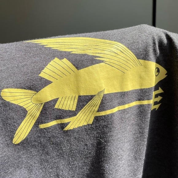 Patagonia Gray Tee with Gold Graphic - Picture 11 of 15